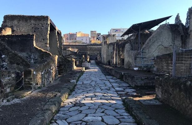 Herculaneum - Small Group Tour