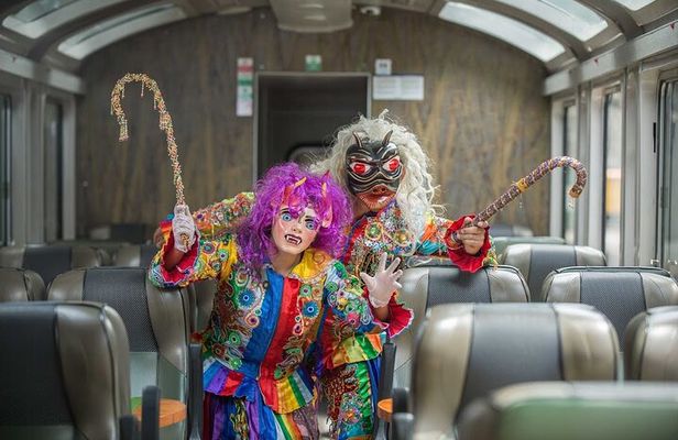 Full-Day: Tour to Machu Picchu by Vistadome Train