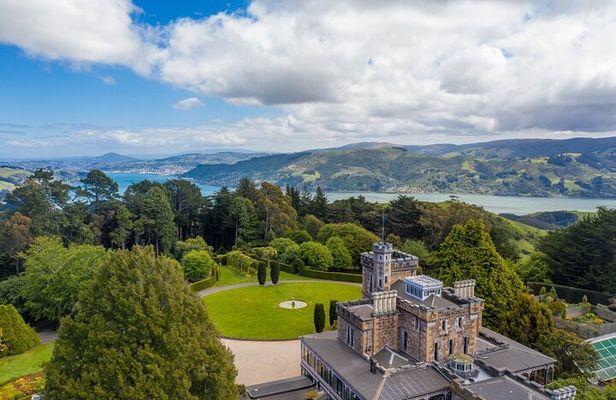 Cruise Dunedin City and Castle Tour