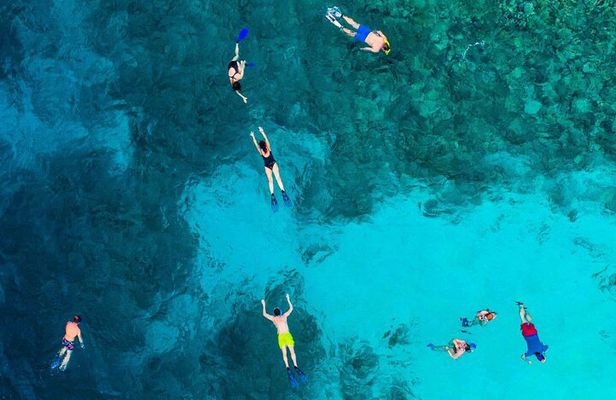 MIAMI: Key West Dolphin Watch Tour and other options