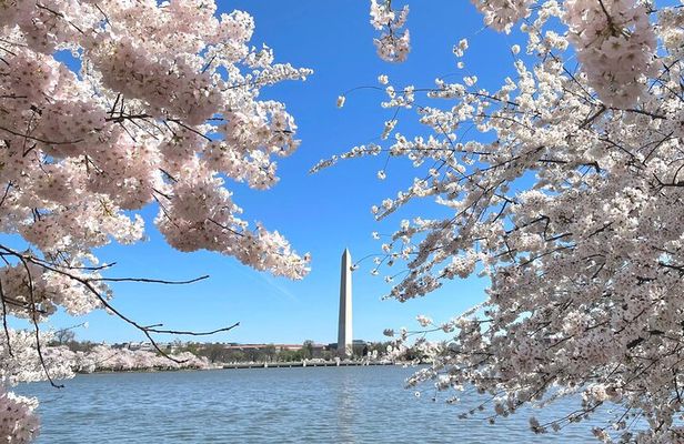 Private Washington DC City Tour | Monuments Tour