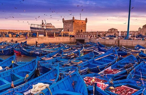 Full Day Tour To Essaouira from Marrakech