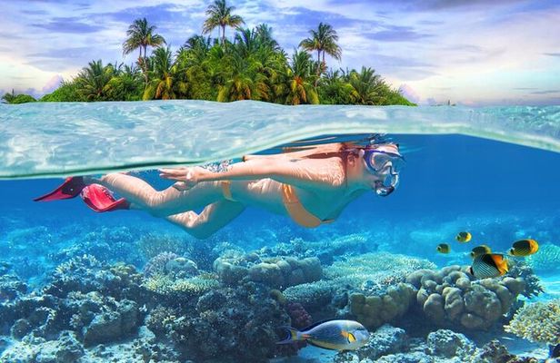 Eastern Treasures of Mauritius: incl Rhumerie St Aubin & Blue-Bay Marine Park