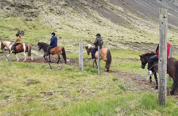 Horse Riding Tour in Reykjadalur (Smoky Valley)-All Riding Levels