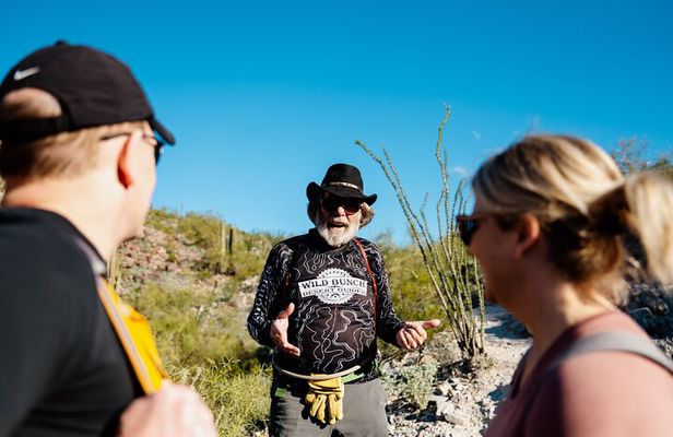 Sonoran Desert Solo Half Day Hike at Customizable Pace