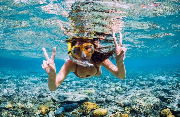 The Adventure East of Mauritius: 3-Watersport Activities & Blue-Bay Marine Park