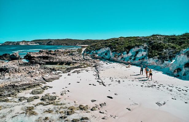 Rottnest Island Lakes and Bays Guided Hike