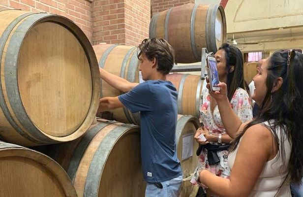 Private Wine Tour with The Whites of Langa Tasting