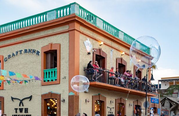 San Jose del Cabo Art Walk, Beer Tasting &Chocolate Demonstration