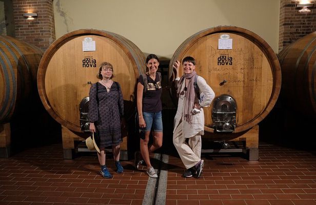 WINE TOUR with sommelier in a winery near Cagliari