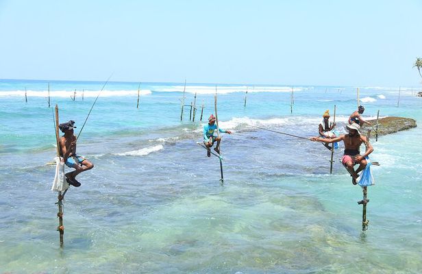 Stilt-Fishing Experience in Ahangama