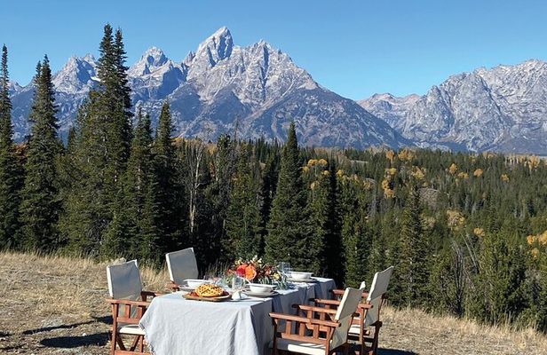 Private GTNP Sunset Wildlife Safari & Field Dinner From Jackson