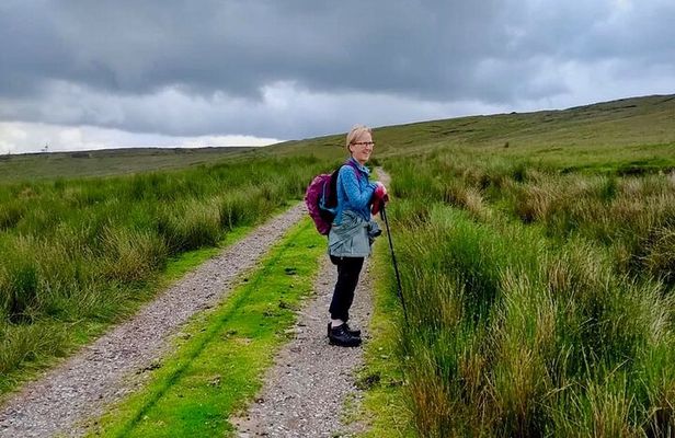 Bog Safari Hike