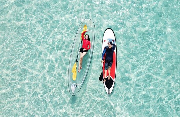 Premium Coral Island Pattaya by Speed boat