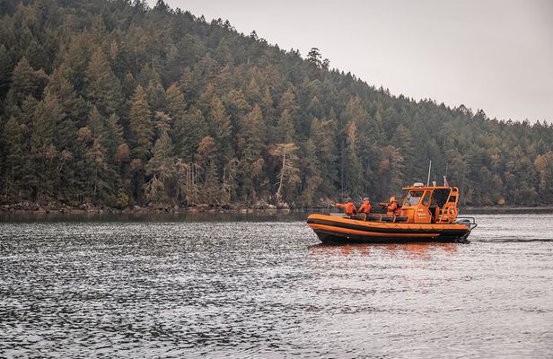 Whale Watching Nanaimo Open Boat Tour