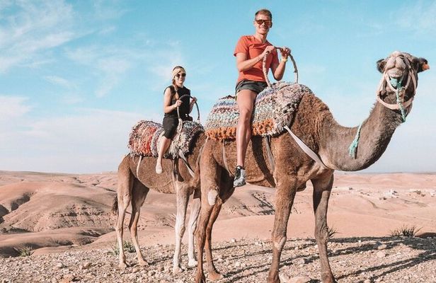 Best, Day trip to the Atlas Mountains, Camel ride, waterfalls, from Marrakech
