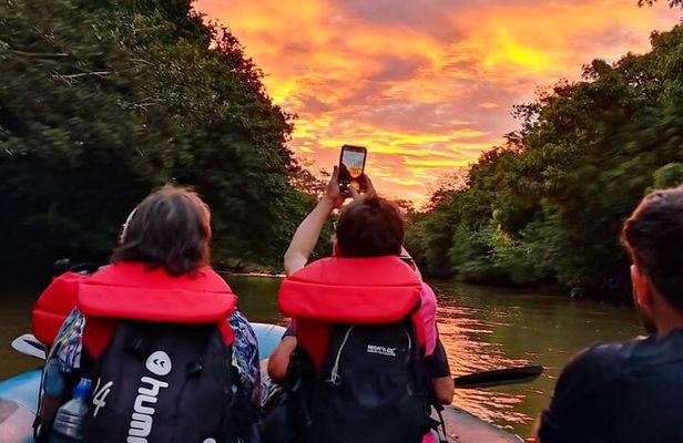 Wildlife Safari Boat Tenorio, Excellent bird watching tour