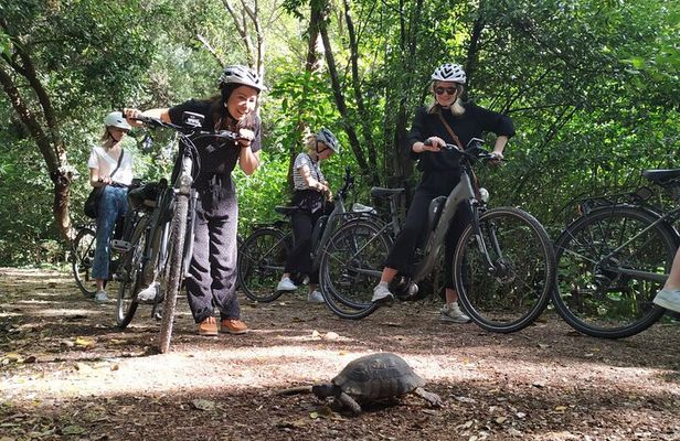 Athens Small Group E-Bike Tour
