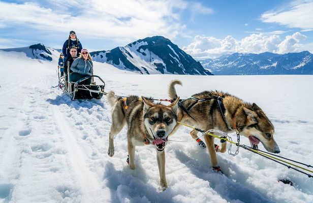 Alaska Helicopter and Glacier Dogsled Tour - SEWARD AREA