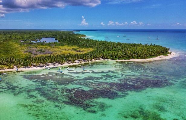 Full-Day Cruise of Isla Saona from Santo Domingo with Lunch
