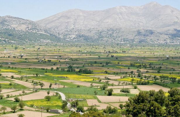 Road-trip to Lasithi: Vidiani, Krasi, Olive Mill Farm, Lasinthos