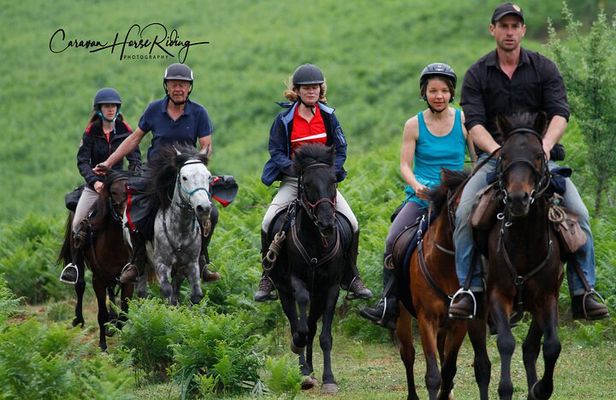 2-Hours Guided Drino's Valley Ride