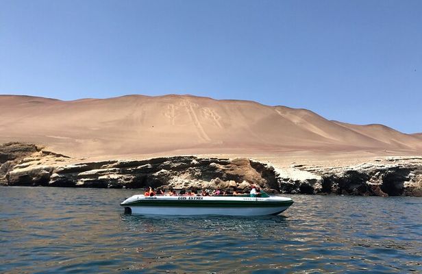 From Lima: All-Inclusive Day trip to Paracas & Huacachina Oasis