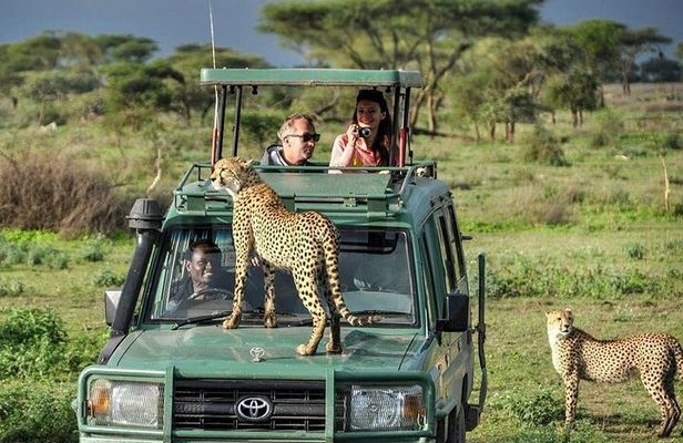 5 Days Tanzania Safari with Serengeti