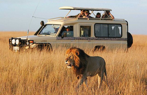 10 Days-Tanzania Group Safari and Beach Tours
