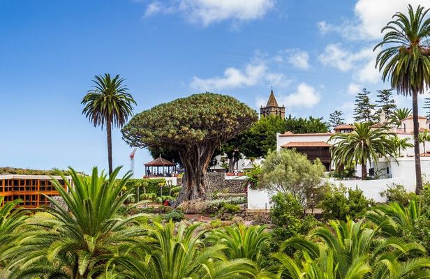 Private Excursion to Masca, Garachico, Icod in Tenerife