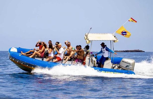 SEA SAFARI, Dolphins, Whales, snorkeling, snack and drink, 2 h speedboat