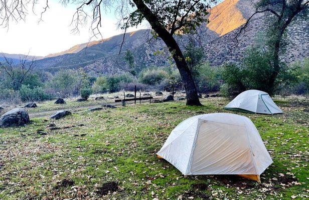 Tuolumne Basecamp Fly Fishing Adventure | 2 days & 1 night or 3 days & 2 nights