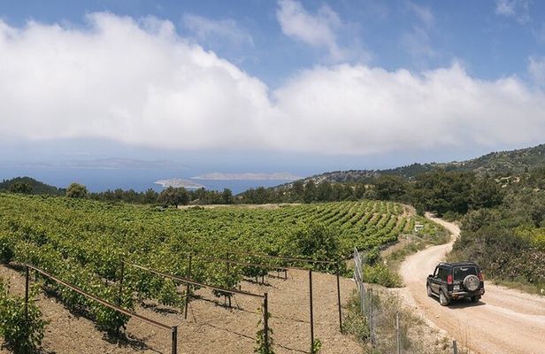 Rhodes North Safari: Hidden Paths & Scenic Flavors