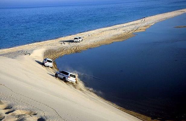 Desert Safari and Inland Sea(Private Tour)