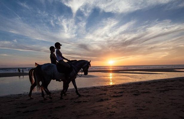 Horse Riding on the Black Sand Beach and Free Hotel Transfers