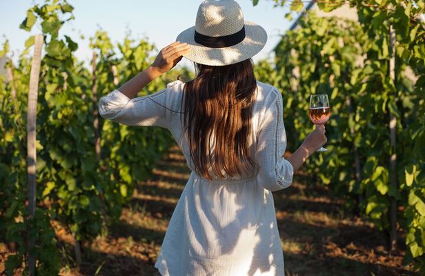 3-Day Private Guided Tour to Cape Town Top Attractions