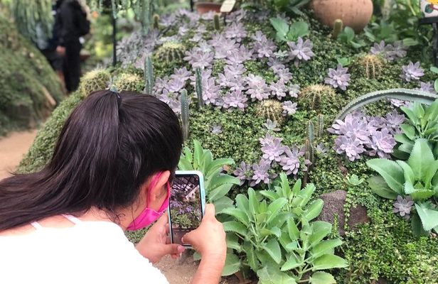 Puerto Vallarta Botanical Gardens Hiking Tour