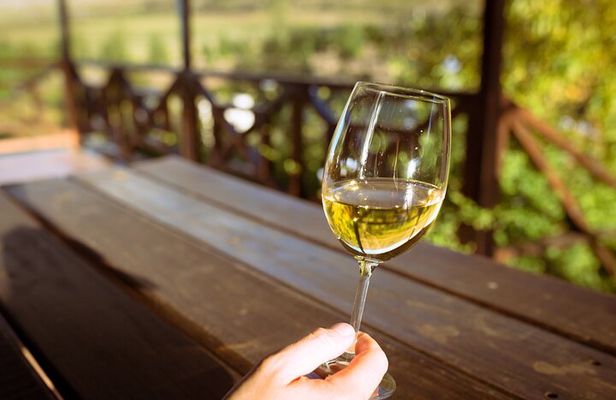 Cape Winelands and Kisternbosch Botanical Garden Full Day Tour.