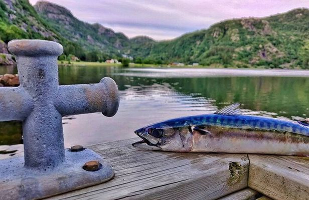 Inshore fishing in the Drangefjord