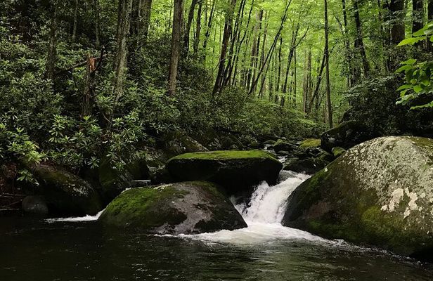Appalachian Waterfalls Hike