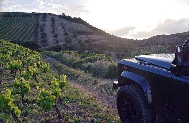 Private Exclusive Manousakis Winery and Vineyard Tour