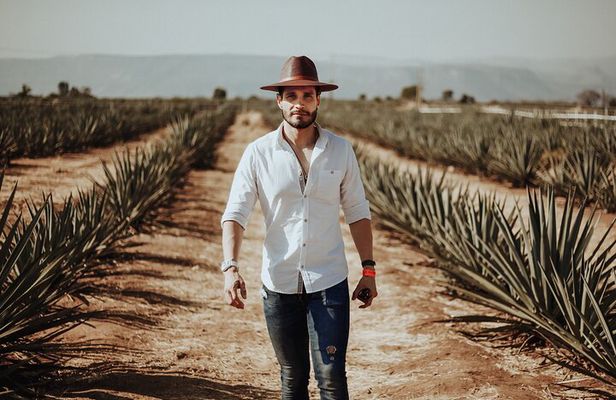 Private Tour to Tequila with tasting, liquors and visits.