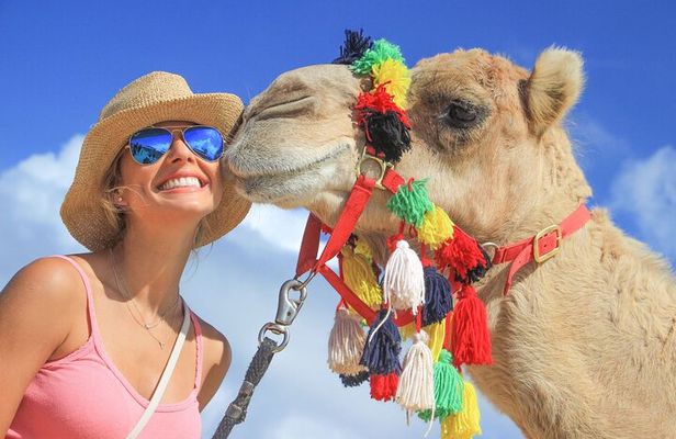 Safari with Camel Caravan to Explore Baja’s Nature, Culture and Cuisine