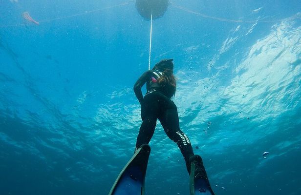 PADI Freediver Course in Barbados