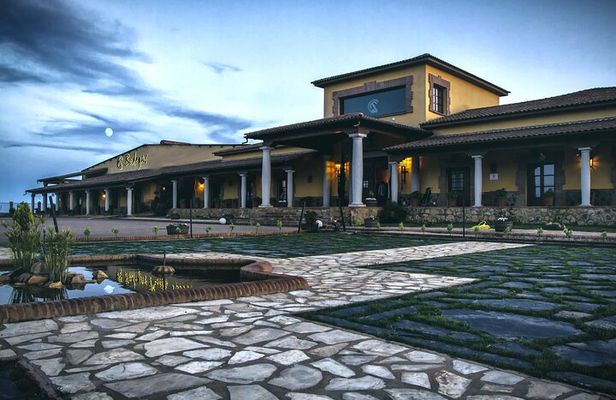 Behind the Wine: Guided Winery Tour & Tasting in Extremadura