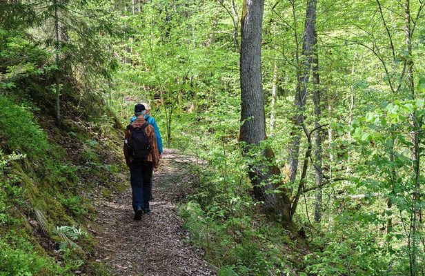 Private Full-Day Hiking Tour in Sigulda and Gauja National Park
