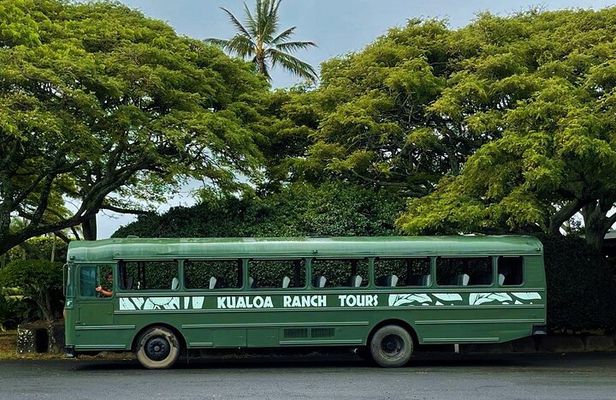 Kualoa Ranch: Movie Sites and Ranch Tour