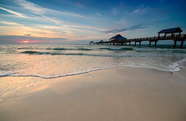 Orlando to Clearwater Dolphin Watch Gulf of America Small Group