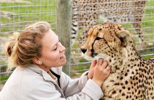 Shared: Cape Winelands, Cheetah Outreach & Kisternbosch Botanical Gardens Tour,
