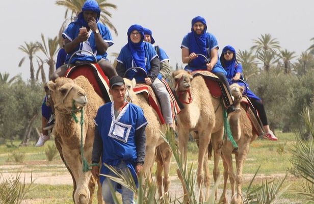 Camel Ride at Sunset in The Palm Grove of Marrakech